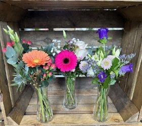 Trio of Bud Vases